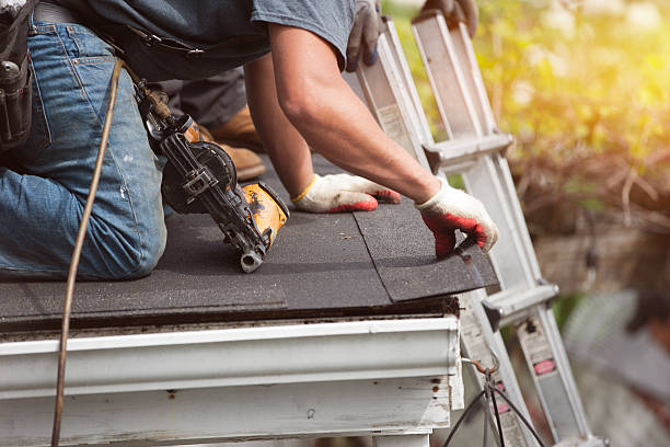Best Commercial Roofing Services  in Dilkon, AZ